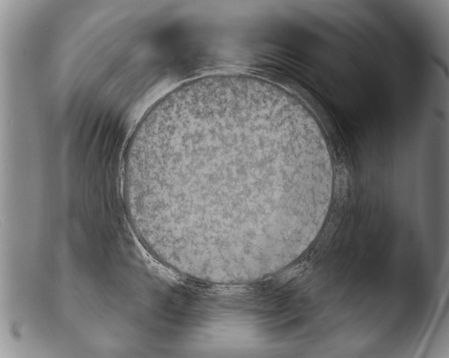 X0000103951143200810311543