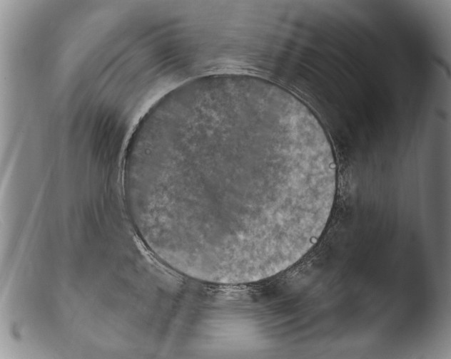 X0000103951144200810311543