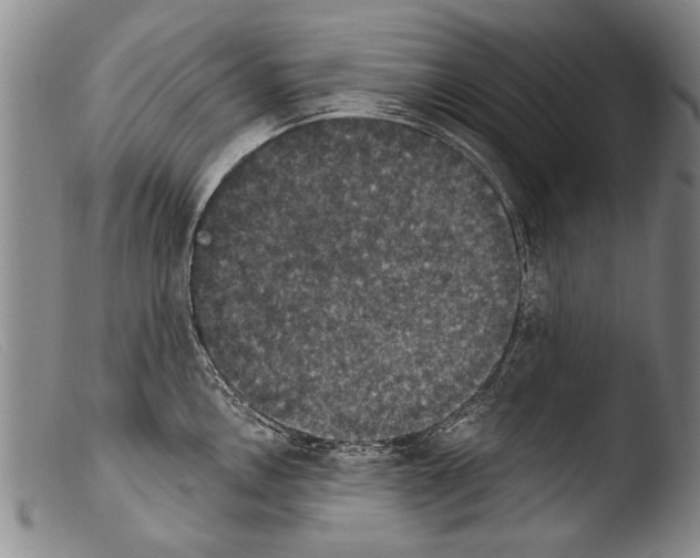 X0000103951146200810311543