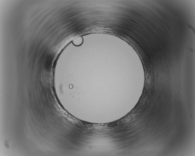 X0000103951147200810311543