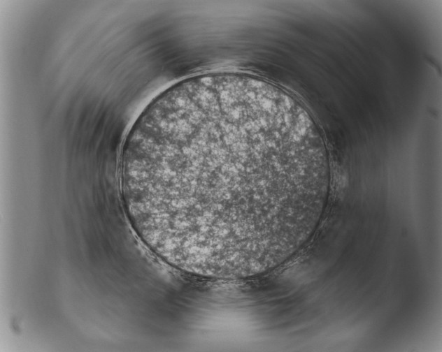 X0000103951148200810311543