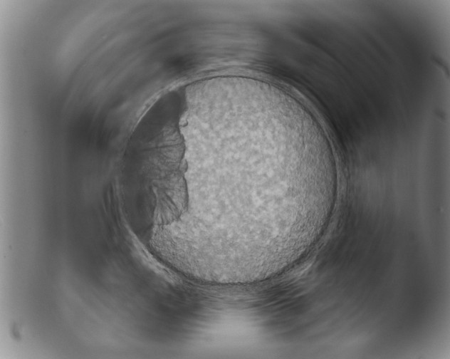 X0000103951149200810311543