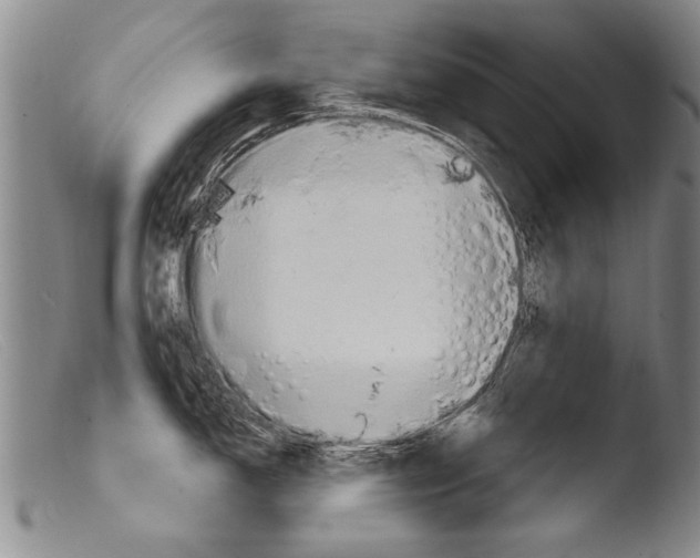X0000103951150200810311543