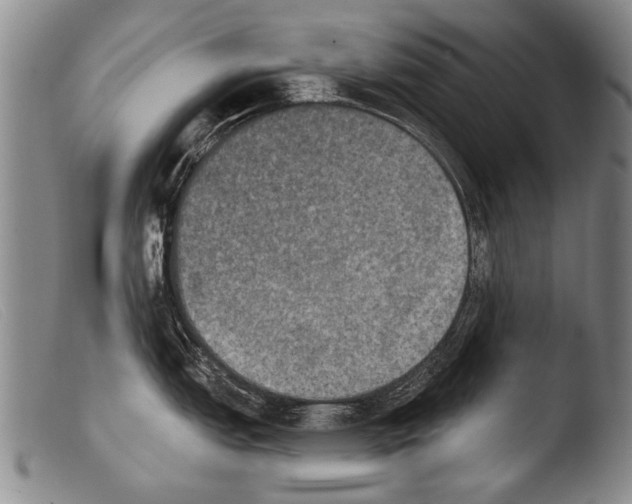 X0000103951151200810311543