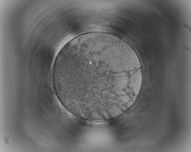 X0000103951152200810311543