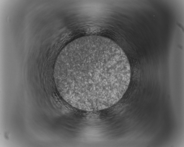 X0000103951153200810311542