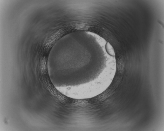 X0000103951154200810311542