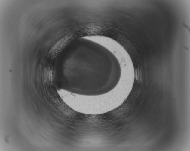 X0000103951155200810311542