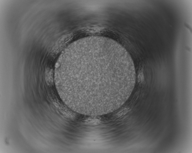 X0000103951156200810311542