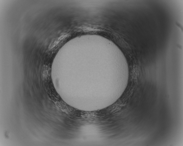 X0000103951157200810311542