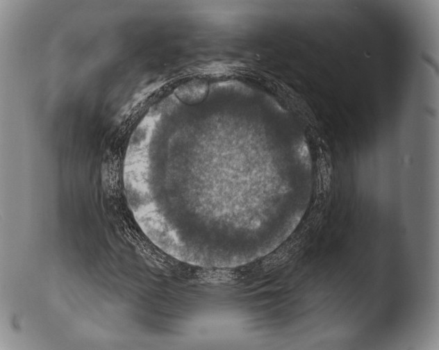 X0000103951158200810311542