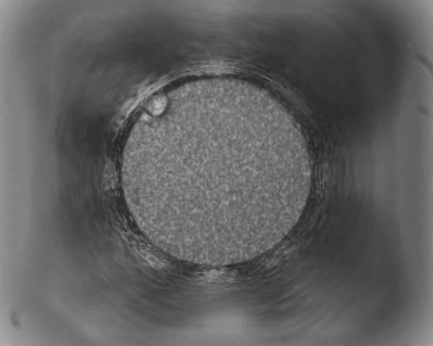 X0000103951160200810311542