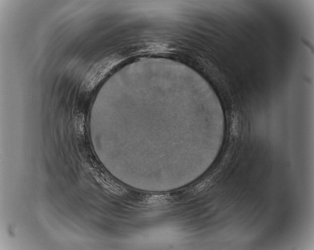 X0000103951161200810311542