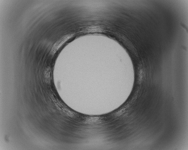 X0000103951162200810311542
