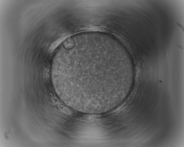 X0000103951163200810311542