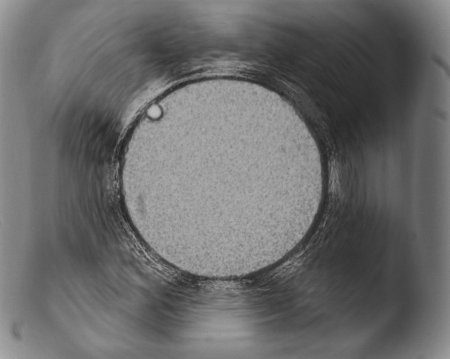 X0000103951164200810311542