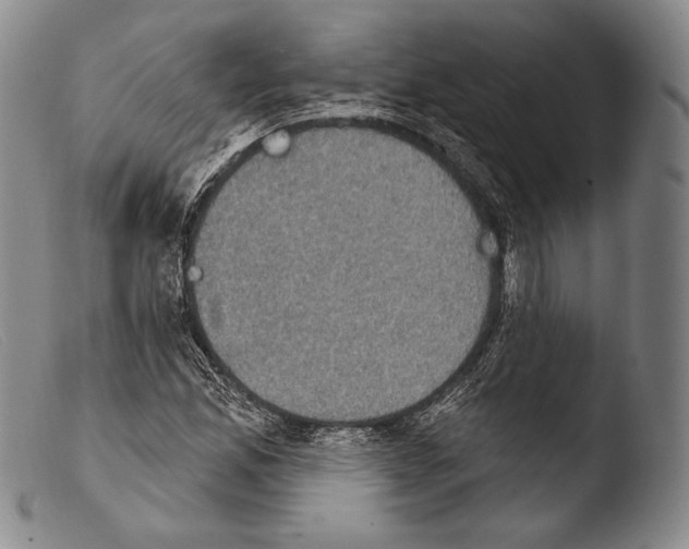 X0000103951165200810311542