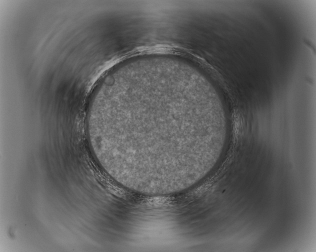 X0000103951166200810311542