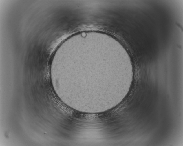 X0000103951167200810311542