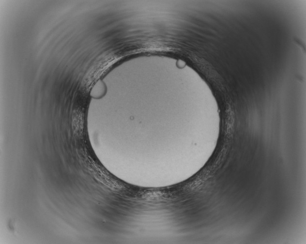 X0000103951169200810311542