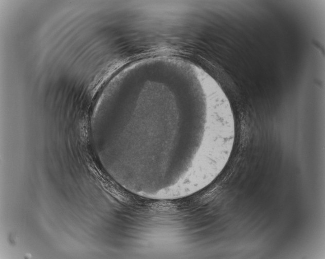 X0000103951170200810311542