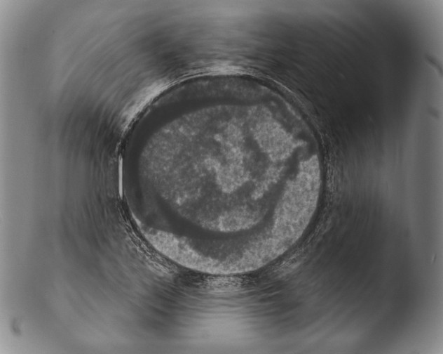 X0000103951171200810311542