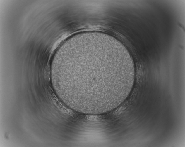 X0000103951172200810311542