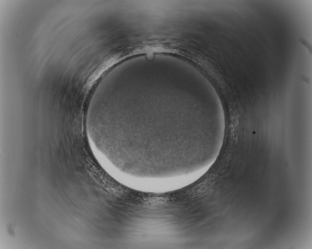 X0000103951173200810311542