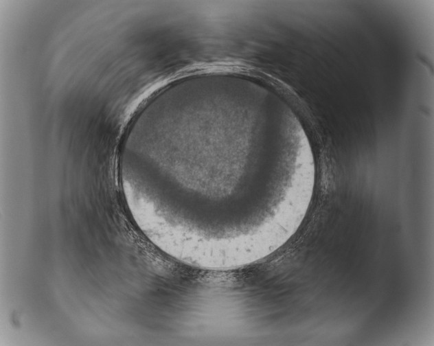 X0000103951174200810311542