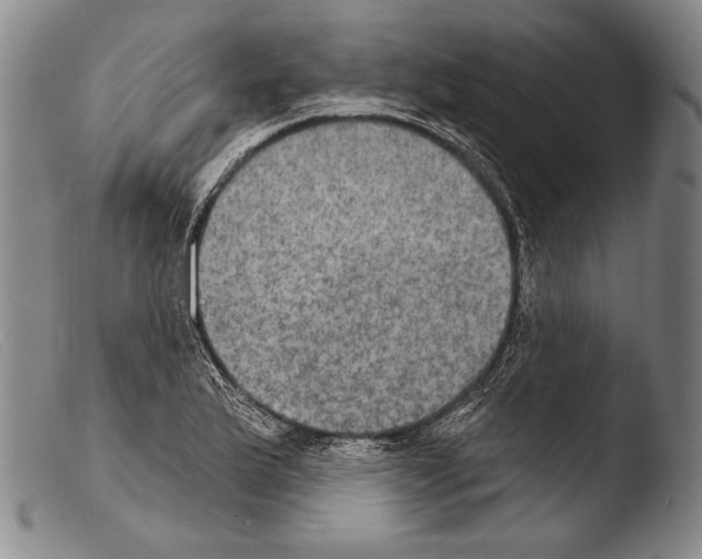 X0000103951175200810311542