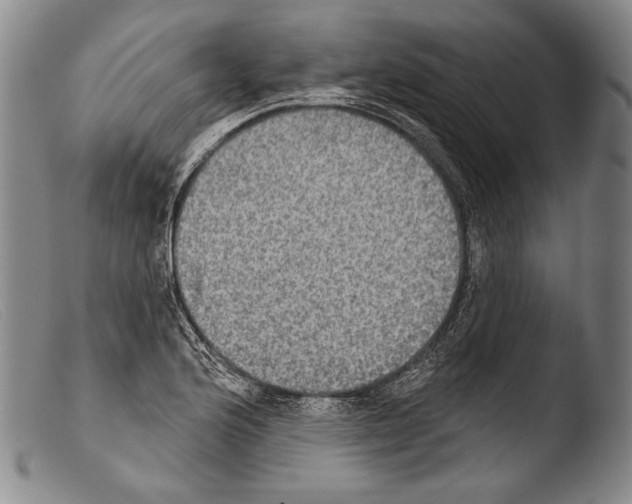 X0000103951176200810311542