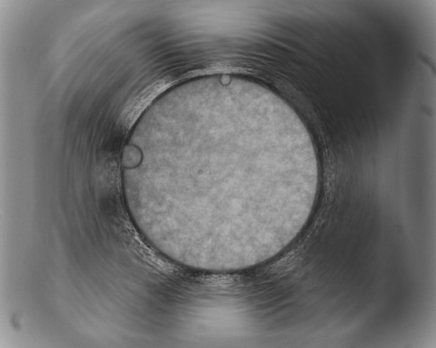 X0000103951177200810311542