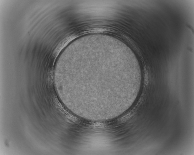 X0000103951178200810311542