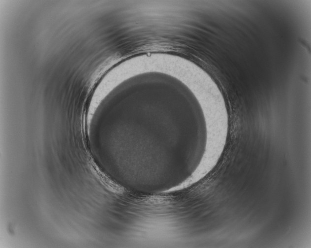 X0000103951179200810311542