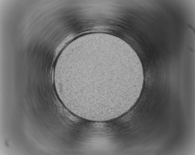 X0000103951180200810311542