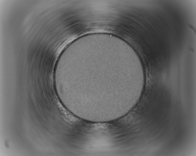 X0000103951181200810311542