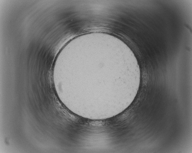 X0000103951182200810311542