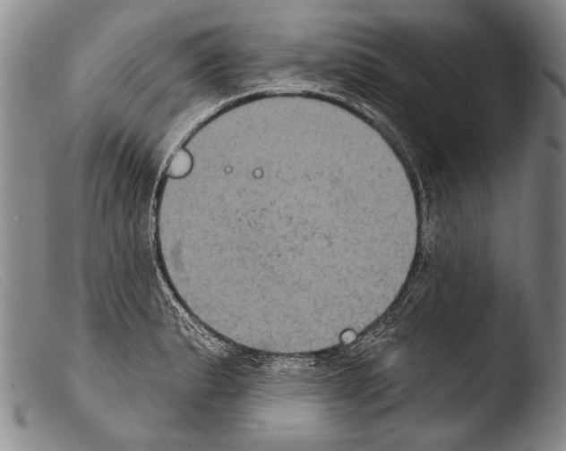 X0000103951183200810311542