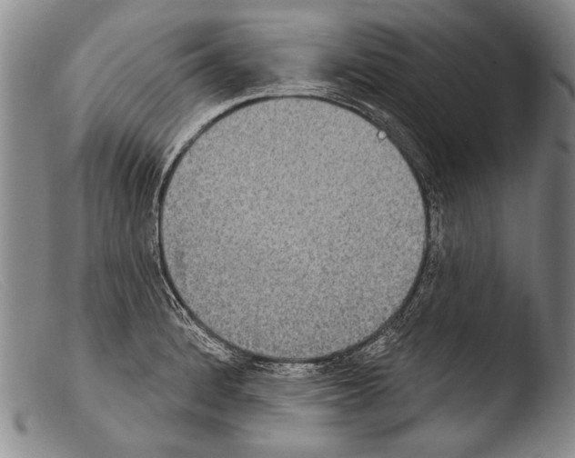X0000103951184200810311542