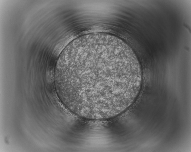 X0000103951185200810311542