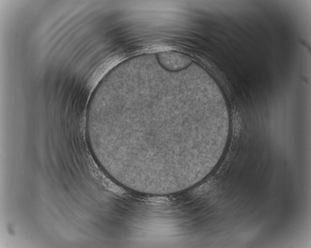 X0000103951186200810311542