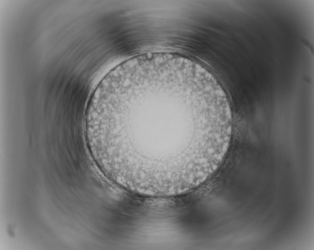 X0000103951187200810311542
