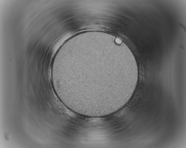X0000103951188200810311542