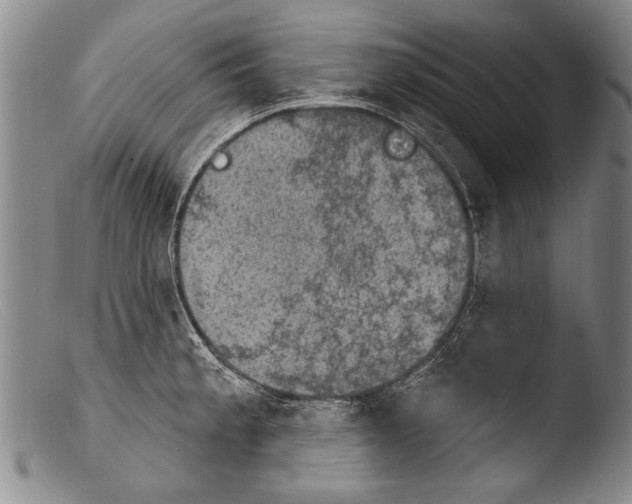 X0000103951189200810311542
