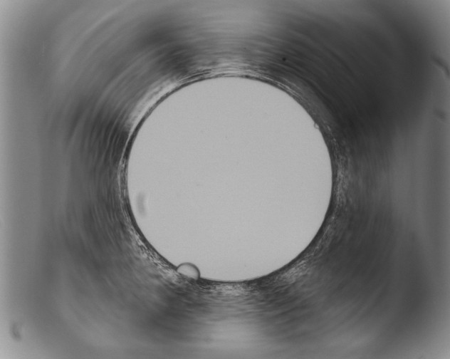 X0000103951190200810311542