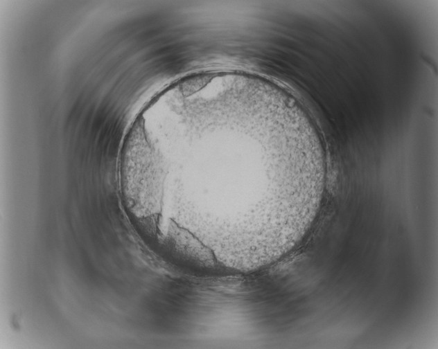 X0000103951191200810311542