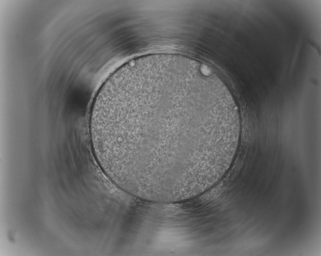 X0000103951192200810311542