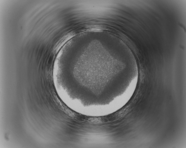 X0000103951194200810311542