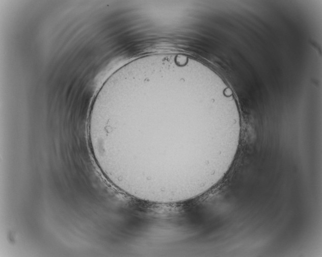 X0000103951195200810311541