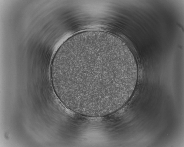 X0000103951196200810311541